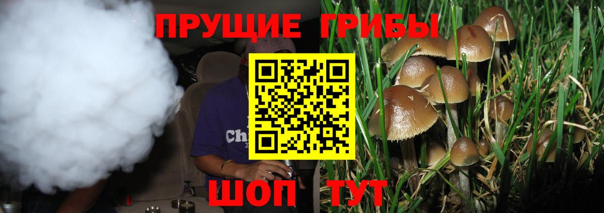 Балашиха  Псилоцибиновые грибы ЛСД  Вход с VPN 